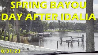 The day after Hurricane Idalia came roaring up the Gulf Coast. by FurFeathersandFlowers 26 views 8 months ago 1 minute, 58 seconds