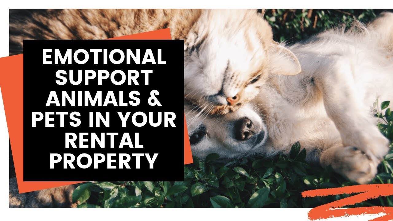 Emotional Support Animals & Pets in Your Rental Property
