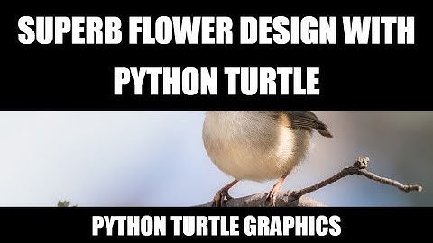 Superb flower design with python turtle | python turtle graphics #turtle #codingstatus #trending