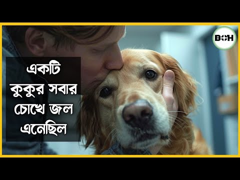The art of racing in the rain explained in bangla || emotional story || best of Hollywood