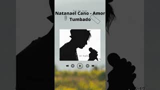 Natanael cano-Amor tumbado