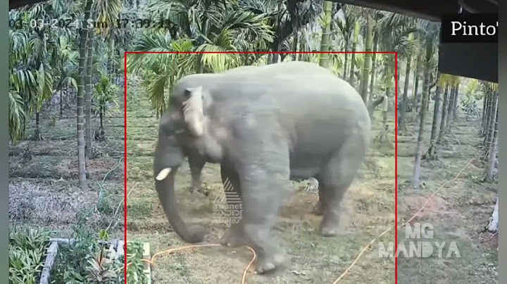 Farmers Narrowly Escape Elephant Attack in Hassan District