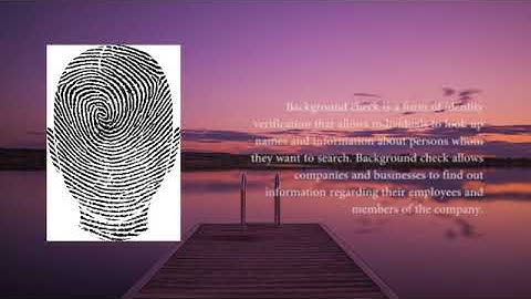 Keeping Your Business Safe and Secure With Background Checks