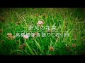 高橋優「非凡の花束」弾き語りcover