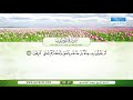 سورة المؤمنون تلاوة مباركة من الآية 60 إلى الآية 74 بصوت القارئ الشيخ سعد الغامدي