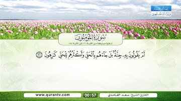 سورة المؤمنون | تلاوة مباركة من الآية 60 إلى الآية 74 | بصوت القارئ الشيخ سعد الغامدي