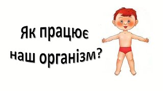 Урок 85 . Організм людини.  "Як працює наш організм?"  Я досліджую світ 3 клас.