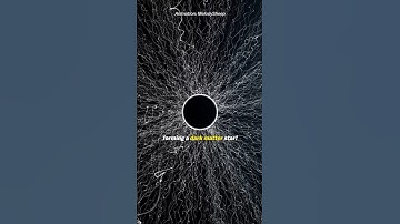 Is this a Dark Matter Star?