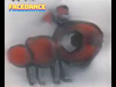 Ant