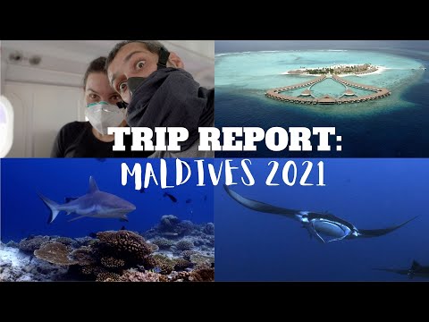 Video: Kas Ir Interesanti Par Niršanu Maldivu Salās