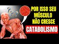 Essas 10 coisas fazem voc catabolizar e perder massa muscular  corpo hipertrofiado