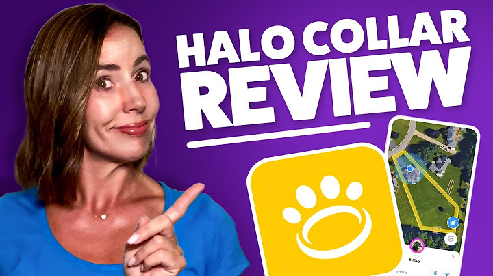 Halo Collar Review: Vorteile, Nachteile und für wen es wirklich geeignet ist