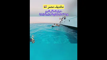 خسارة اذا بتسافر شرم الشيخ وما بتعمل زيارة لمالديف مصر 