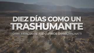 10 días como un trashumante: el duro trabajo del arriero, a caballo de la cordillera al llano