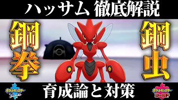 剣盾 ハッサム 剣盾 ハッサム