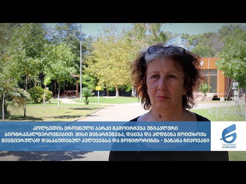 მადლობა \"საბუკოს\" და ვიმედოვნებთ, რომ ჩვენი თანამშრომლობა ამით არ დასრულდება - მანანა ჩიქოვანი