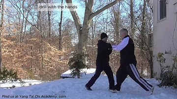 Authentic Yang Family Push Hands method with Lao Shi Damon Bramich