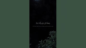 وَجَعَلۡنَا ٱبۡنَ مَرۡیَمَ وَأُمَّهُۥۤ ءَایَةࣰ | محمد صديق المنشاوي | سورة المؤمنون | بيات