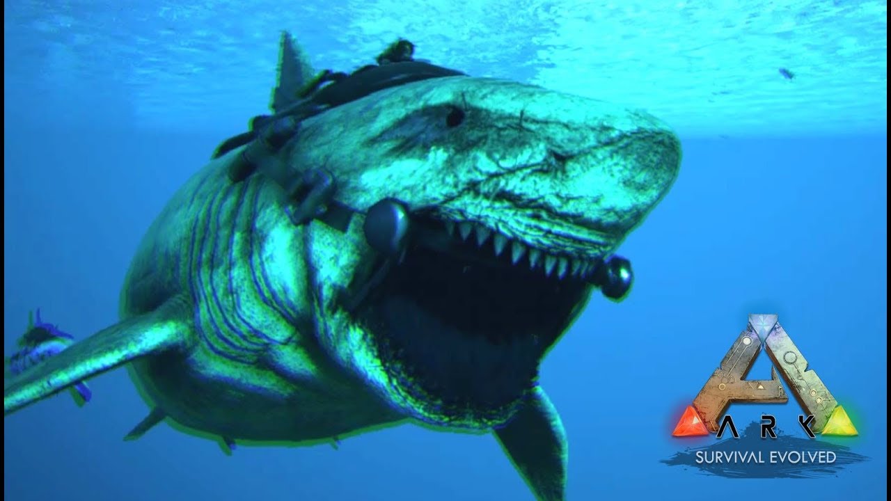 最強のサメ メガロドンを捕獲 Ark ゆっくり実況 22 Youtube