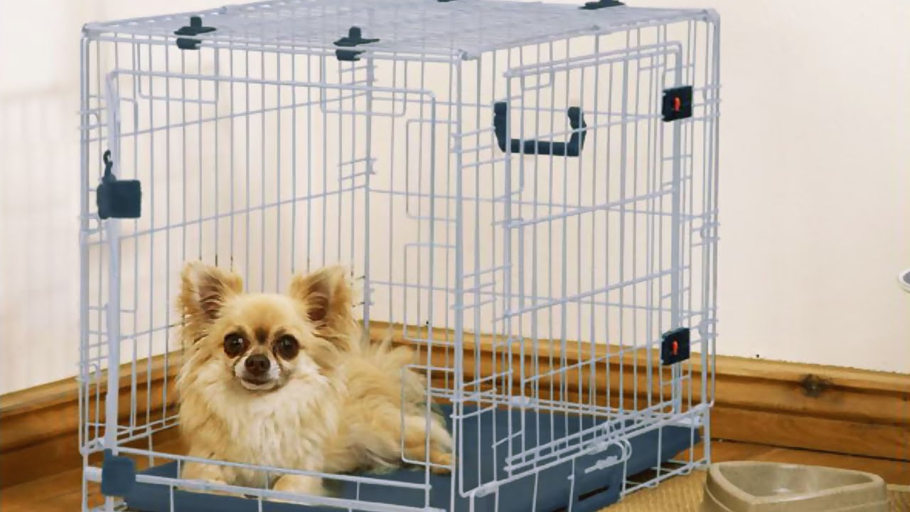 Dog breaks out of cage Сompilation YouTube