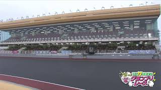 autofficialの配信のサムネイル画像
