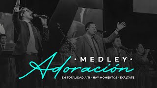 Medley Adoración | En totalidad a ti • Hay momentos • Exáltate | David Luis Molano