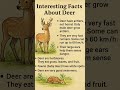deer
