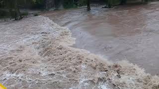 Anaconda en el rio ultimo vado choix sinaloa