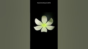 Shape Changing Smart Polymers #smartmaterials #advancedmaterials #materialsengineering