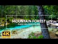 Mountain Waterfall Piano Relaxing Music for Stress Relief • Meditation Music, Sleep Music, Ambient