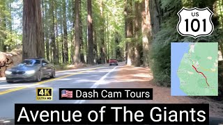 Avenue of The Giants. Humboldt California Redwoods State Park. Miranda to Eureka - 4K
Avenue of The Giants. Humboldt Redwoods State Park.
Driving from Miranda, CA to Eureka, CA - 4K
Road trip along the California the Pacific Coast
Humboldt Redwoods State Park is a state park of California, United States, containing Rockefeller Forest, the worlds largest remaining contiguous old-growth forest of coast redwoods.
It is located 30 miles (48 km) south of Eureka, California, near Weott in southern Humboldt County, within Northern California, named after the great nineteenth-century scientist, Alexander von Humboldt.
The park was established by the Save the Redwoods League in 1921 largely from lands purchased from the Pacific Lumber Company. Beginning with the dedication of the Raynal Bolling Memorial Grove, it has grown to become the third-largest park in the California State Park system, now containing 51,651 acres (20,902 ha) through acquisitions and gifts to the state.
It is part of the Northern California coastal forests ecoregion and has 23,600 acres (96 km2) of old-growth forests.
17,000 acres (69 km2) are old-growth redwoods, comprising the entire Bull Creek watershed and the Rockefeller Forest.
Nearby U.S. Route 101, which generally follows the Eel River and its South Fork in this part of the North Coast, offers easy access to the park and nearby towns with connections to the scenic highway, Avenue of the Giants, also mostly located within or near park boundaries.
Redwoods
The park is famed for its coast redwoods (Sequoia sempervirens), many of which grow to over 300 feet (91 m) in height.
The forests on alluvial plains are almost pure redwood forest, but the forests on the slopes also contain Douglas-fir.
Over 100 of the 137 known trees over 350 feet (110 m) tall—all coast redwoods—occur in Humboldt Redwoods State Park.
It is home to the 4th-tallest measured living redwood, the Stratosphere Giant, which was measured at 112.94 metres (370.5 ft) in 2004. Stratosphere Giant was the tallest known living redwood until the discovery of three taller trees in Redwood National Park; the tallest, Hyperion, measuring 115.55 metres (379.1 ft) in September 2006.
Before the discovery of Hyperion, the tallest redwood ever measured was the Dyerville Giant, also in Humboldt Redwoods State Park.
It was 113.4 metres (372 ft) high when it fell in March 1991. It was estimated to be 1,600 years old.
The Dyerville Giant can be seen on Founders Grove Nature Trail, which honors the creators of Save the Redwoods League.
Also in this grove is Founders Tree, which is 346 feet (105 m) tall with circumference of 40 feet (12 m)
Dash Cam Tours
Location:
Humboldt Redwoods State Park
17119 Avenue of the Giants, Weott, CA 95571
https://maps.app.goo.gl/3cinBXNqtAtFTeTE8
Miranda, California
Jacobsens redirects here. For other uses, see Jacobsen (disambiguation).
Miranda (formerly, Jacobsens) is a census-designated place in Humboldt County, California.
It is located 2.5 miles (4 km) northwest of Phillipsville, in the heart of redwood country, at an elevation of 351 feet (107 m).
The population: 520
The name Miranda, was originally applied to the areas post office on August 26, 1905. One account states that it is not known whether the name giver had in mind a girl or the well-known Spanish place name and family name. Miranda means admirable.
Miranda was known as jacobsens Valley until the post office was established.
Another account states that Etta Coombs chose the name Miranda for the post office she started.
The town of Miranda is a five-minute walk from the south fork of the Eel River, and is located amidst giant redwood trees.
Miranda is located on the Avenue of the Giants between Myers Flat to the north and Phillipsville to the south.
Besides the post office, the town boasts one restaurant, a resort, market, and gas station (all owned by the Eldridge family), a small coffee shop
#RoadTrip #Humboldt #AvenueOfTheGiants
Dashcamtours.com
Check out my second channel with scenic walking tours:
https://www.youtube.com/c/POVWalks/featured
Follow on Twitter:
https://twitter.com/DashCamToursDot?s=09 Avenue of The Giants. Humboldt California Redwoods State Park. Miranda to Eureka - 4K