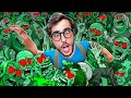 Cosa FARESTI se ci FOSSE un'APOCALISSE ZOMBIE?