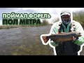 Форель на  воблер ! Поймал пол метрового " Кабана " !