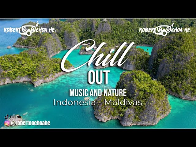 Indonesia & Maldives Paradise! Chill Out Music Nature & Wildlife