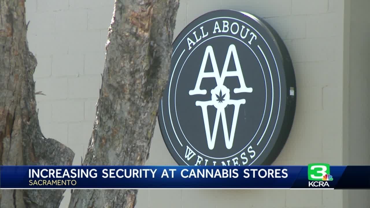 Marijuana Dispensaries Security
