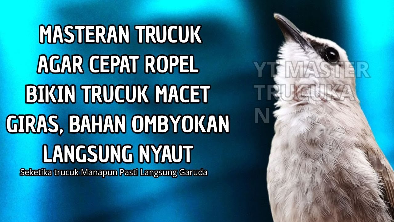 Trucukan GACOR ngalas ROPEL PANJANG suara alam AMPUH buat pancingan jadikan trucuk Gacor GARUDA