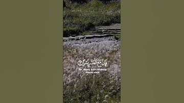 { أَلَمْ نَشْرَحْ لَكَ صَدْرَكَ } سورة الشرح🤍
