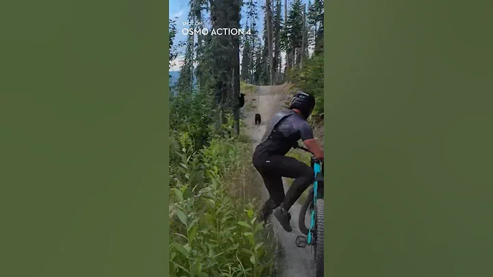 That left him bear-y surprised  🐻 DJI Osmo Action 4 🎬 @jameskimpro #mtb #shorts #bear