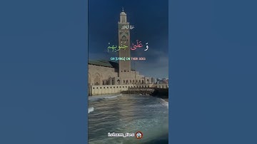 سورة آل عمران #المصحف #quran #الرحمن #اكسبلور #duet #قرآن #لايك #تيك_توك #قران_كريم #دويتو