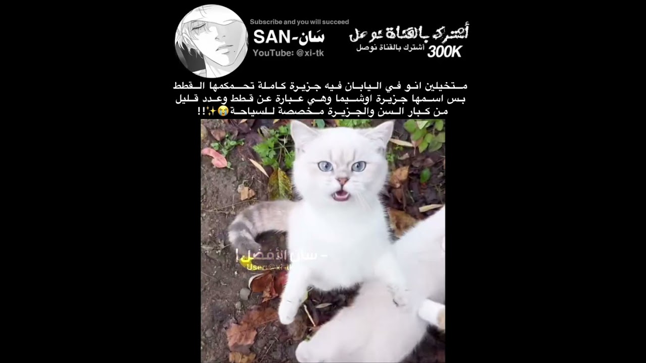 اريد اعيش بيها😭 #اكسبلور #foryou #fypシ゚viral #ادريان #ايان #لايك #تفاعل #fyp #viralvideo #viwes 