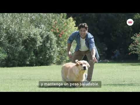 Royal Canin Light Weight Care - piensoymascotas