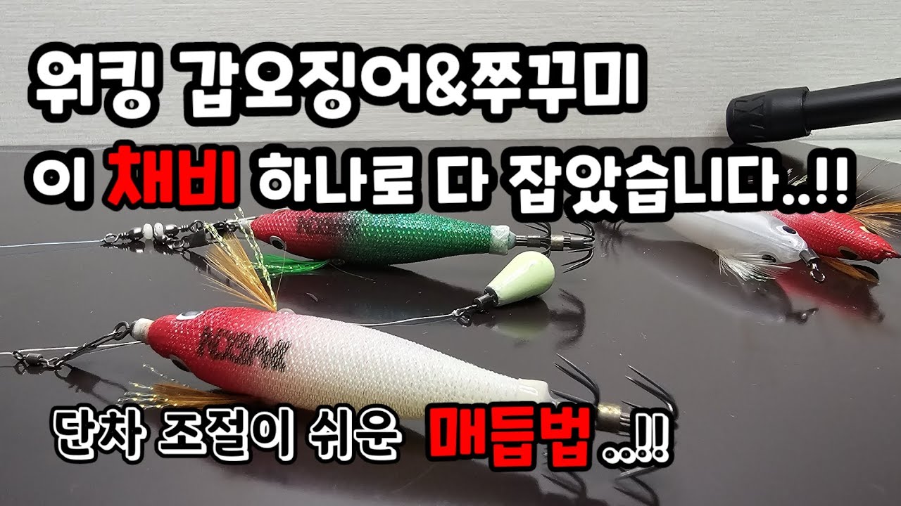 단차 조절이 쉬워서 이 채비 하나로 갑오징어 쭈꾸미 다 잡을수 있습니다..^^#갑오징어채비#쭈꾸미채비#갑오징어#갑오징어낚시#워킹갑오징어낚시