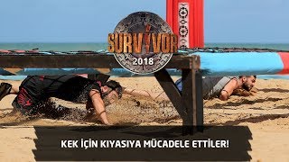 Survivor 2018 6 Bölüm Kek Ödülü Için Mücadele Ettiler Tarihi Fark