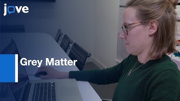 Automated Segmentation of Grey Matter from MRI images | Protocol Preview