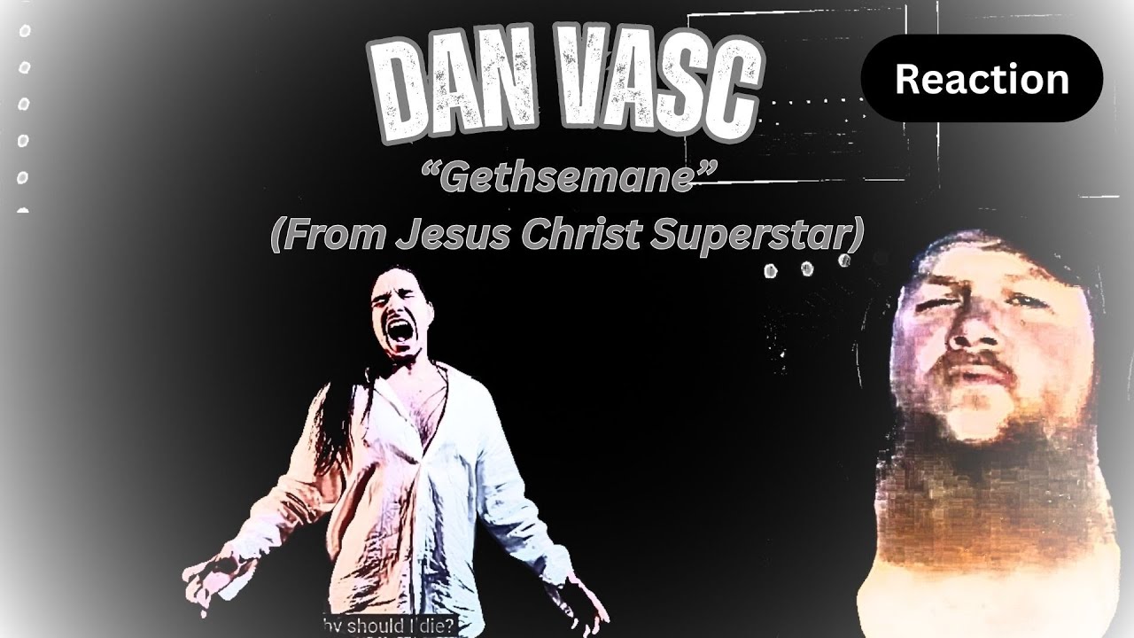 Reaction / Dan Vasc - 