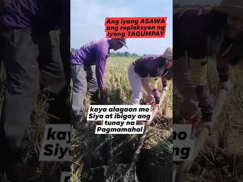 Ang Iyong Asawa Ang Iyong Repleksyon