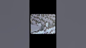 "فَاعْلَمْ أَنَّهُ لَا إِلَهَ إِلَّا اللَّهُ" تلاوة خاشعة للشيخ ياسر الدوسري