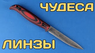 :     - Kizlyar Supreme Companero
