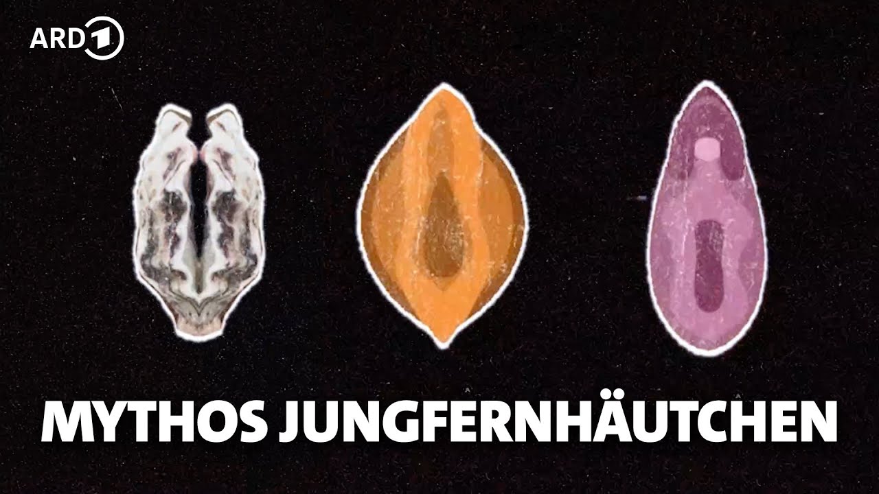 Das Jungfernhäutchen gibt es nicht YouTube Das Jungfernhäutchen gibt es nicht YouTube