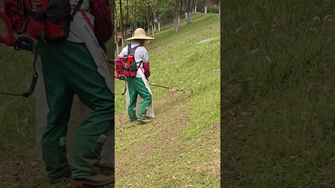 Weeder   Good tool for easy weeding